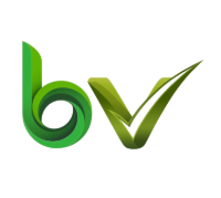 XAI Insights Hub logo